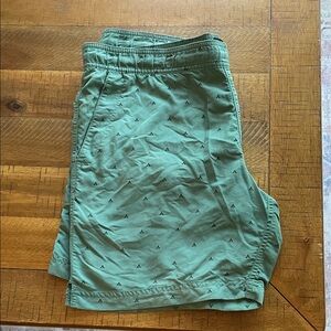 The North Face Men's Green Athletic Shorts